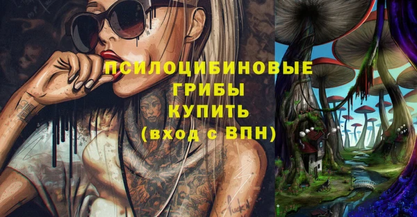 дживик Карпинск